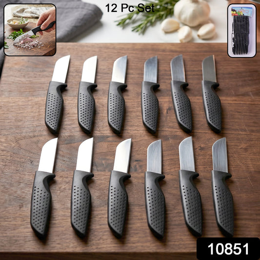 Complete 12-piece kitchen knife set for slicing, chopping & peeling tasks