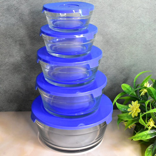 Organivo 5-piece glass bowl set with lids displayed neatly.