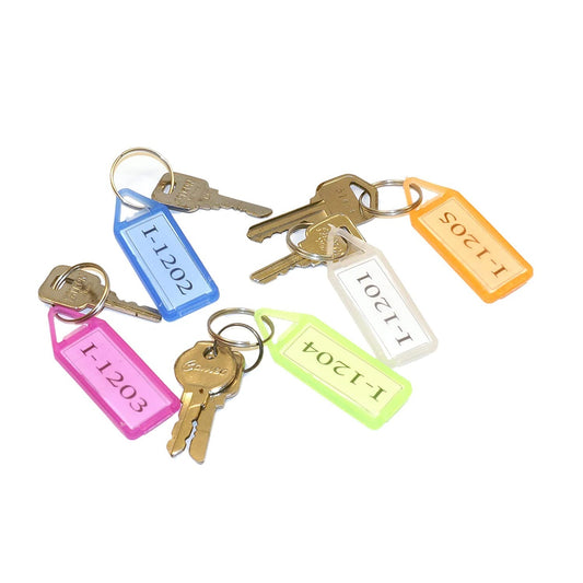 Assorted translucent plastic keychain tags with paper labels, set of 50.